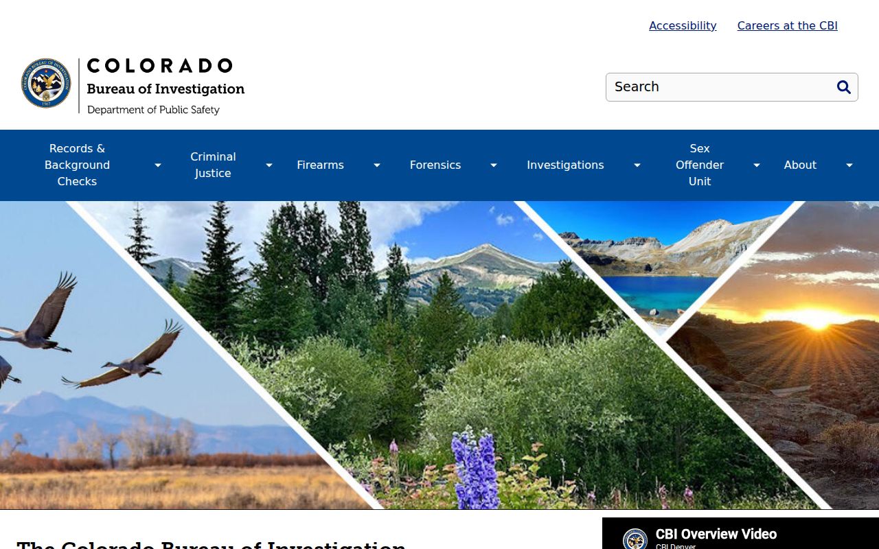 Walsh criminal records Colorado Bureau of Investigation services